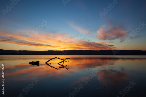 Tableau sur toile Wide angle view of a dead tree silhouette reflecting in shallow waters on the peacefully calm, windless shores of Lake Illawarra below a beautifully vibrant orange sunset