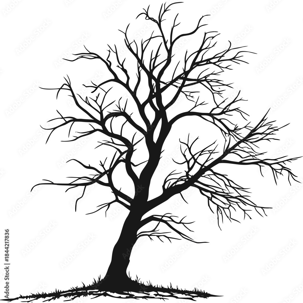 Obraz premium Dry Tree Silhouette – Isolated Black Vector Illustration