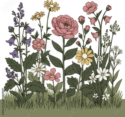 Create a realistic Flowerbed with different plants and flowers vector art with white background..