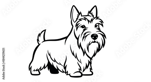 Scottish terrier dog illustration vector art of a standing animal