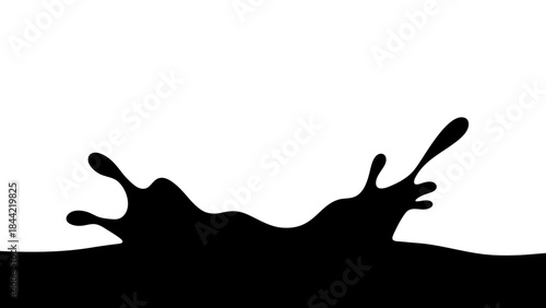 a black and white photo of a splash of liquid