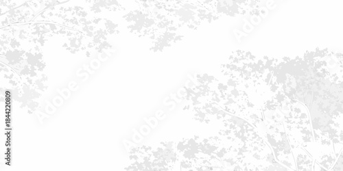 Delicate tree branches with sparse foliage against a white background