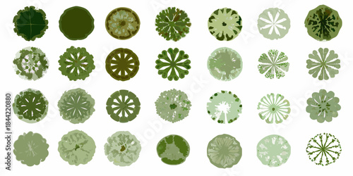 A collection of varied green tree canopy patterns viewed from above