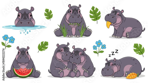 Cute Cartoon Hippos in Different Poses and Activities, Vector Illustration Set