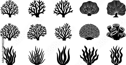 Coral silhouette, Sea corals silhouette, Seaweed silhouette, Coral, Coral clipart, coral vector illustration set