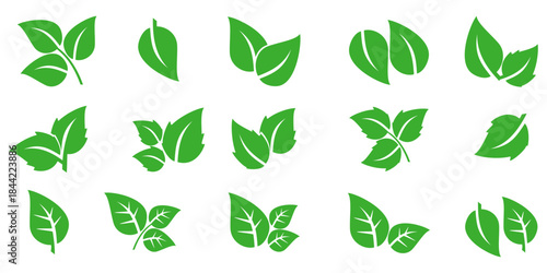 Leaf vector symbol, leaf illustration or leaf emoji in flat style. Spring leaf design, ecological nature theme.	