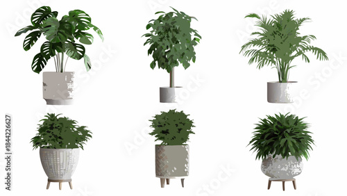 A collection of potted indoor plants with various leaf shapes and textures