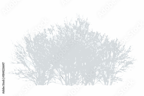 A simple light grey silhouette of a bushy plant or shrub isolated on white