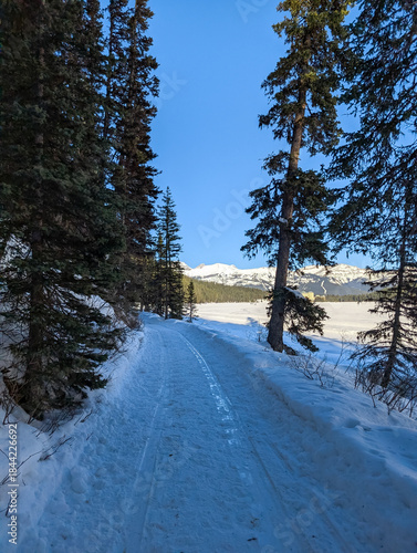 Winter landscape - forest road in snowy mountains passes by frozen lake leading to town - Lake Louise, Alberta, Canada