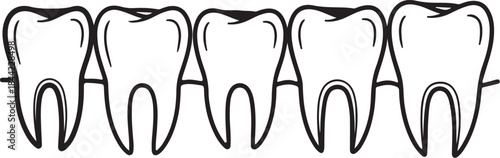 A row of five tooth connected by horizontal lines, representing a dental arch or sequence teeth dentistry also transparent background