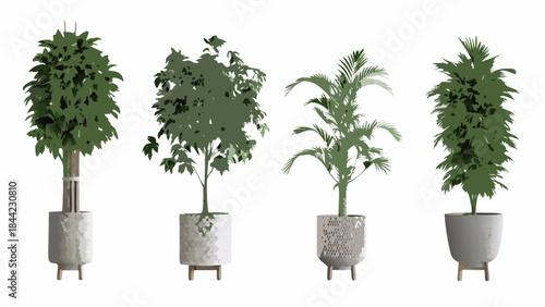 An arrangement of four potted green plants against a white background