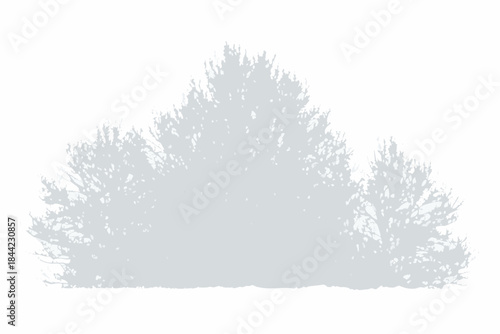 Simple grayscale silhouette of coniferous trees against a white background