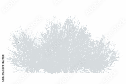 A grayscale silhouette of a dense rounded shrub or bush on a white background