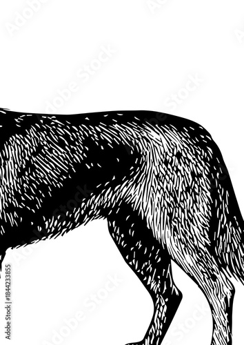 black dog silhouette