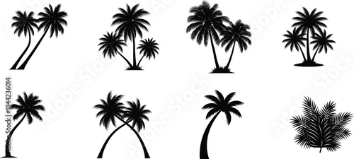 Collection of silhouette palm trees against bright white background
