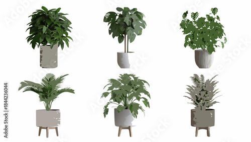 A collection of various potted houseplants arranged in a grid pattern
