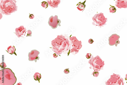 Delicate pink roses scattered across a clean white background composition