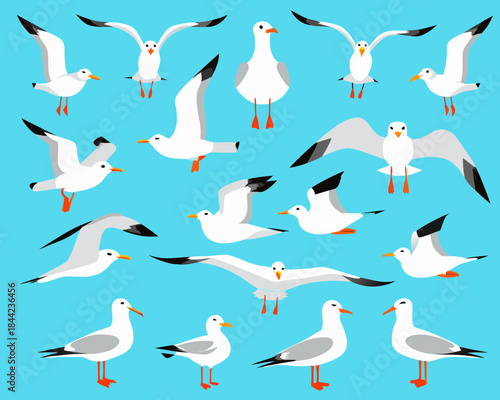A colorful illustration depicting various seagulls in flight and at rest