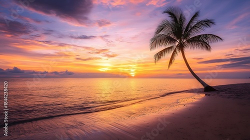 Tropical coastline at sunset high resolution picture