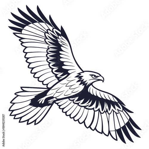 bird, vector, eagle, silhouette, dove, flying, animal, wing, wings, illustration, tattoo, black, fly, pigeon, symbol, feather, design, nature, peace, flight, wild, hawk, birds, art