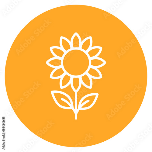 Sunflower icon vector image. Can be used for Agriculture.