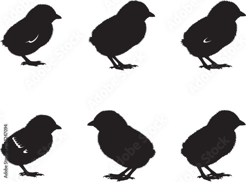 Six black silhouettes of chicks in various poses
