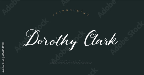 Script Fashion font alphabet. Minimal modern urban fonts for logo, brand etc. Typography typeface uppercase lowercase and number. vector illustration
