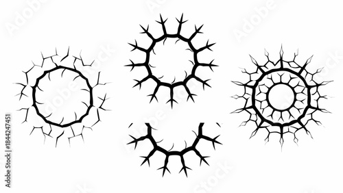 Intricate black branch like patterns forming circular and irregular shapes