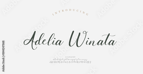 Script typography beauty fashion elegant minimalist serif italic fonts decorative wedding vintage retro logos. Minimal luxury font alphabet logo. Vector illustration
