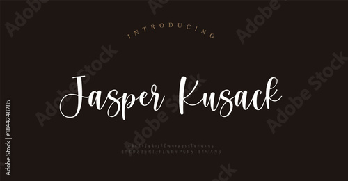 Script awesome alphabet letters font and number. unique serif font. Classic Lettering Minimal Fashion Designs. Typography fonts regular uppercase and lowercase. vector illustration
