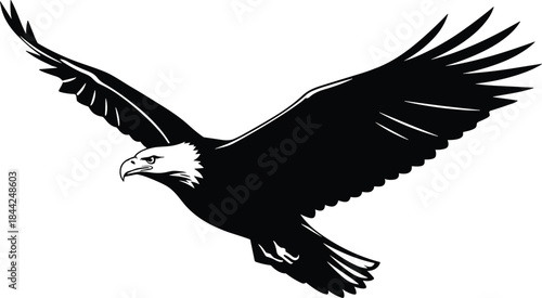 Dynamic Black and White Bald Eagle Vector Illustration, Majestic Soaring Bird of Prey with Wings Spread, Symbolizing Freedom, Strength, Power, Patriotism, Mascot, Logo Design Element.