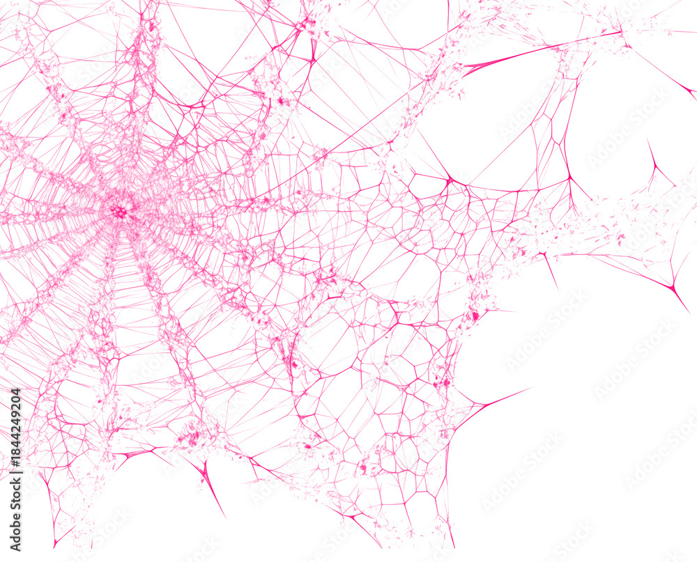 Obraz premium Pink spiderweb or cobweb isolated on transparent background. Scary halloween decoration, design element or overlay with creepy spider web