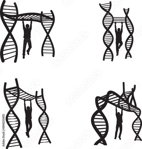 Replication fork and dna synthesis illustrations