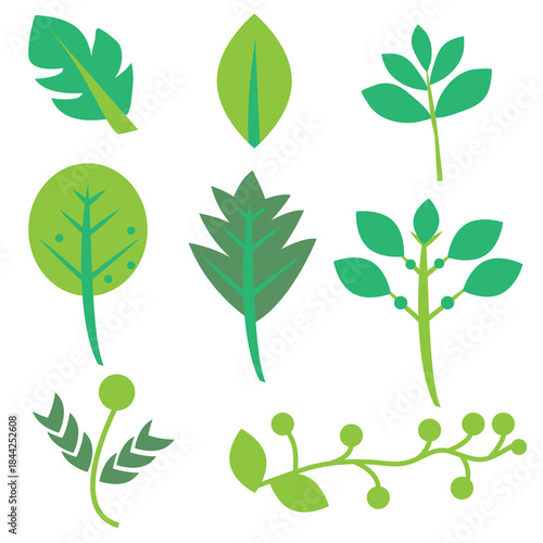 A set of nine leaf shapes