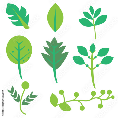 A set of nine leaf shapes