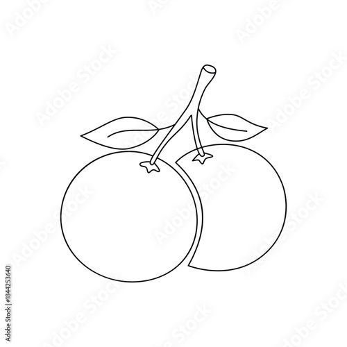 Minimalist Two Mandarin Oranges. Lunar New Year Symbol. line drawing. Line art. Illustration