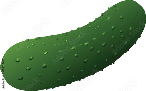 a single vibrant green cucumber lies isolated on a plain white background clearly
