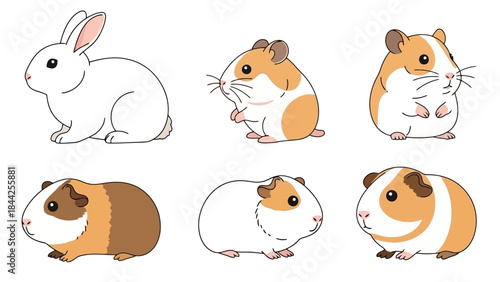 Cute Cartoon Rabbit and Guinea Pigs Collection, Adorable Pets Illustration