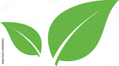 A simple illustration displays two vibrant green leaves with prominent veins and stems