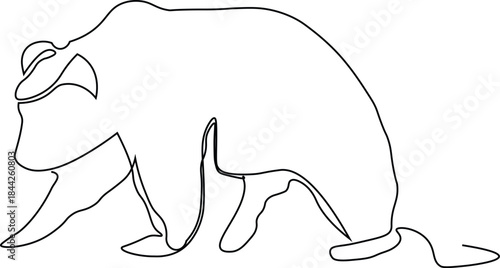 Bear Continous line illustration. Minimal line art of Polar bear. Bear wild animal one line sketch.