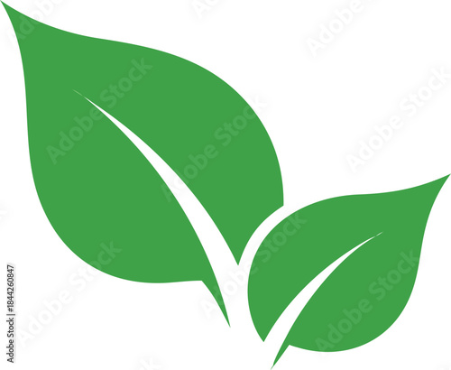 A vibrant illustration depicts two green leaves with smooth lines and fresh appearance