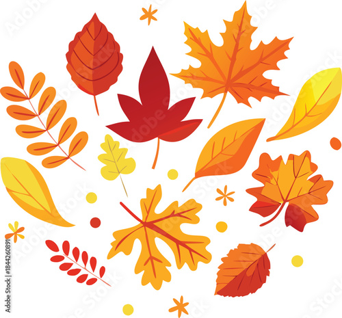 An artful arrangement of colorful autumn leaves creates a vibrant fall season display