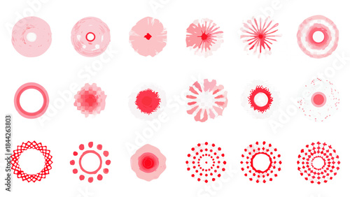 Stages of sea urchin embryo development visualized through microscopic imagery