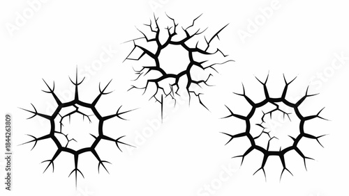 Three black crack patterns resembling floral or starburst designs on white