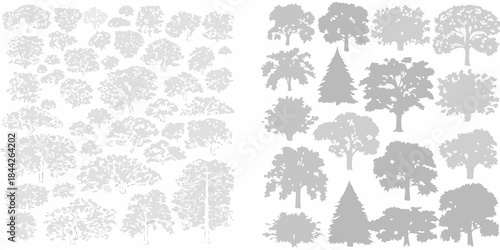 A collection of silhouetted trees in varying shapes and sizes presented together