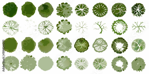 A collection of various top view tree illustrations in green and white tones