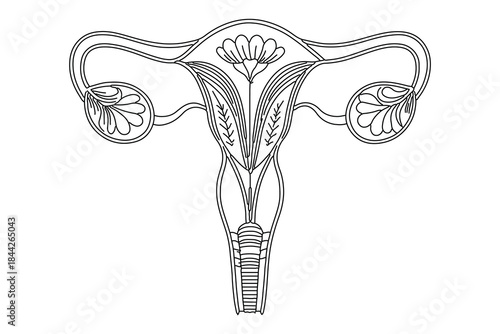 Woman fertility uterus one line art clean vector design
