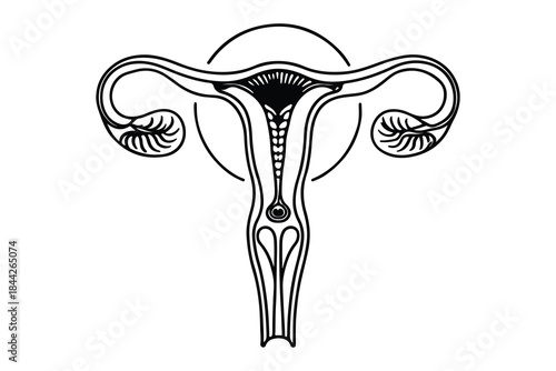 Uterus line art icon, continuous one line drawing