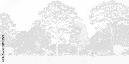 Silhouetted trees against a bright hazy overcast sky creating a natural scene
