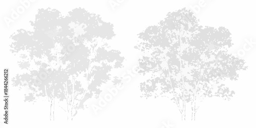 Silhouettes of two leafy trees against a plain white background